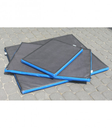 Dezinfekční protiskluzová rohož PROFI 120 x 200 x 4 cm